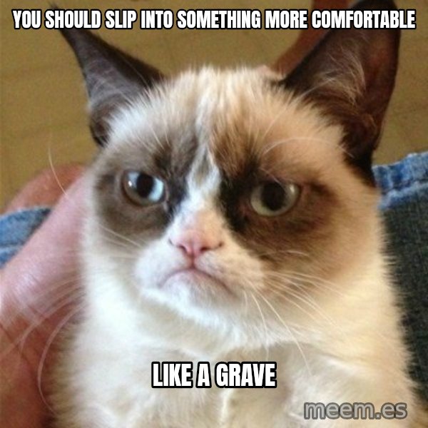 Grumpy Cat  meme: you should slip into something more comfortable / like a grave