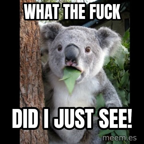 Koala can't believe it meme: What the fuck / did I just see!