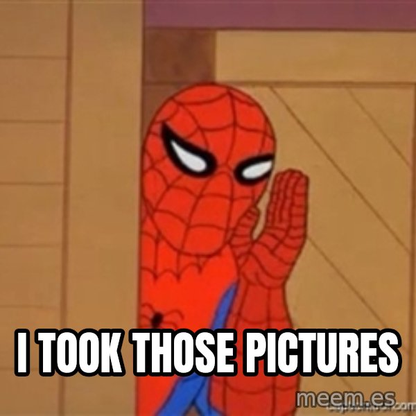 Psst spiderman meme: i took those pictures