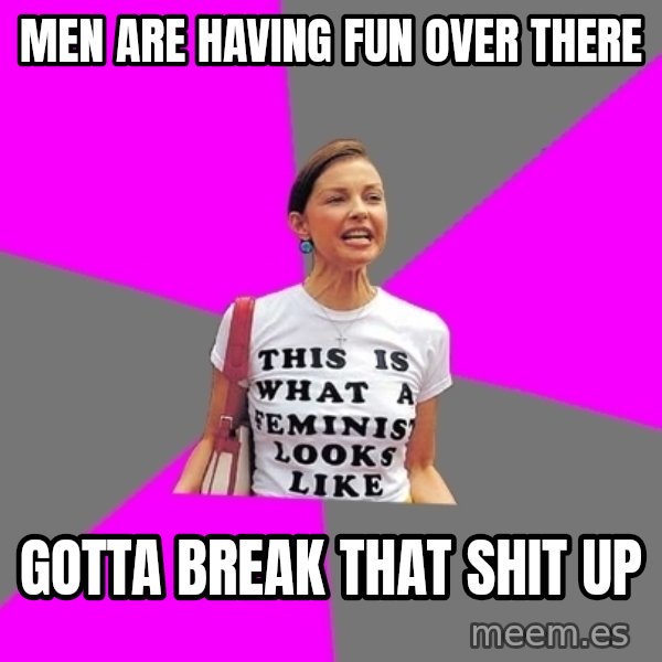 Feminist Cunt meme: men are having fun over there / gotta break that shit up