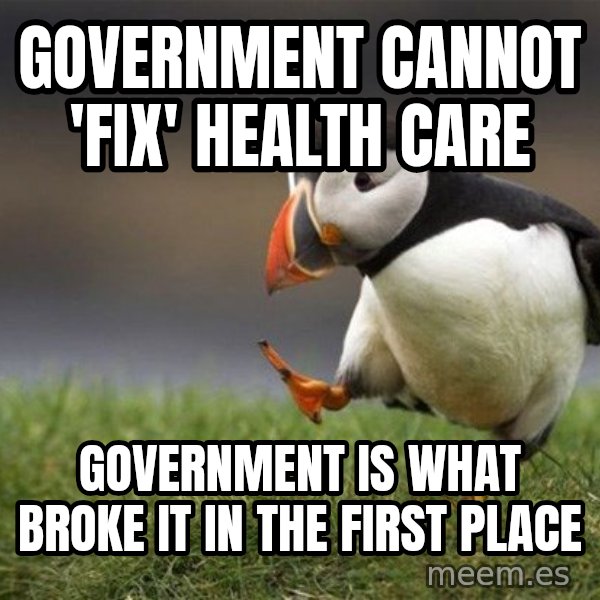 Unpopular Opinion Puffin meme: Government cannot 'fix' health care / government is what broke it in the first place