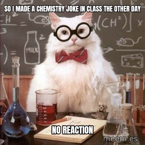 Chemistry Cat meme: SO I MADE A CHEMISTRY JOKE IN CLASS THE OTHER DAY / NO REACTION