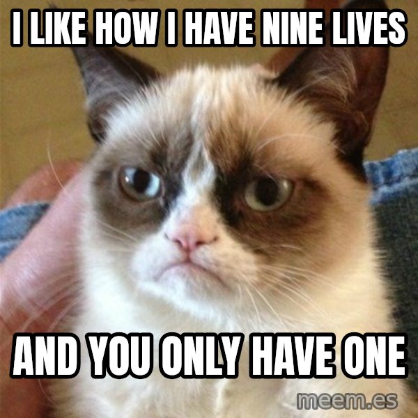 Grumpy Cat  meme: I like how i have nine lives / and you only have one