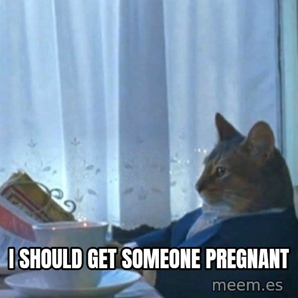 newspaper cat realization meme: i should get someone pregnant