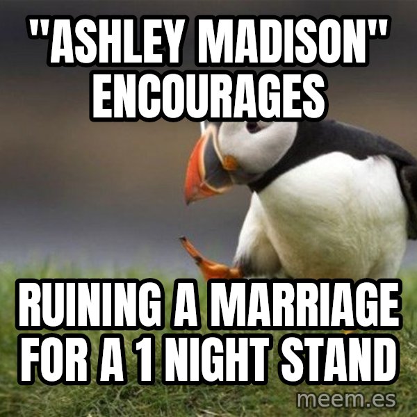Unpopular Opinion Puffin meme: "Ashley Madison" encourages / Ruining a marriage for a 1 night stand