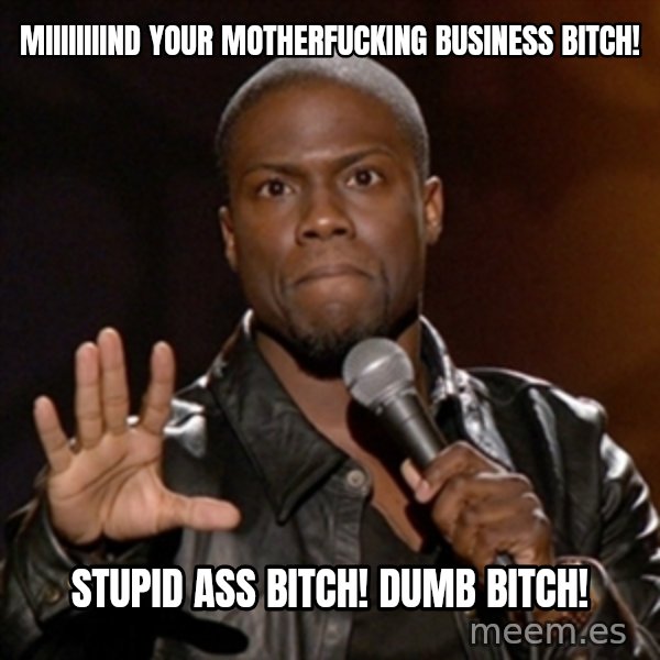 Kevin Hart meme: Miiiiiiiind your motherfucking business bitch! / Stupid ass bitch! Dumb bitch!