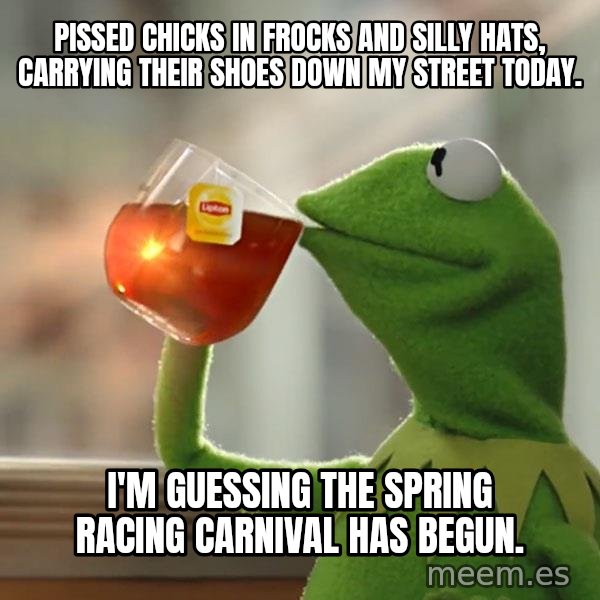 Kermit The Frog Drinking Tea meme: Pissed chicks in frocks and silly hats, carrying their shoes down my street today. / I'm guessing the spring racing carnival has begun.