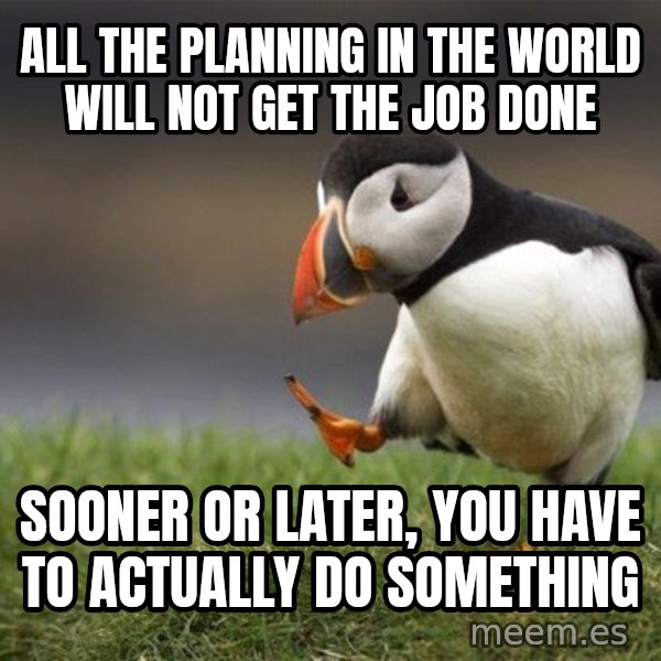 Unpopular Opinion Puffin meme: all the planning in the world will not get the job done / sooner or later, you have to actually do something