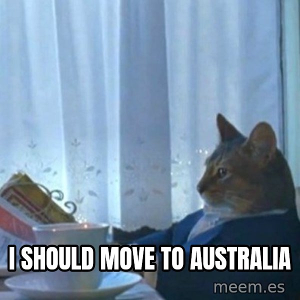 newspaper cat realization meme: I should move to Australia