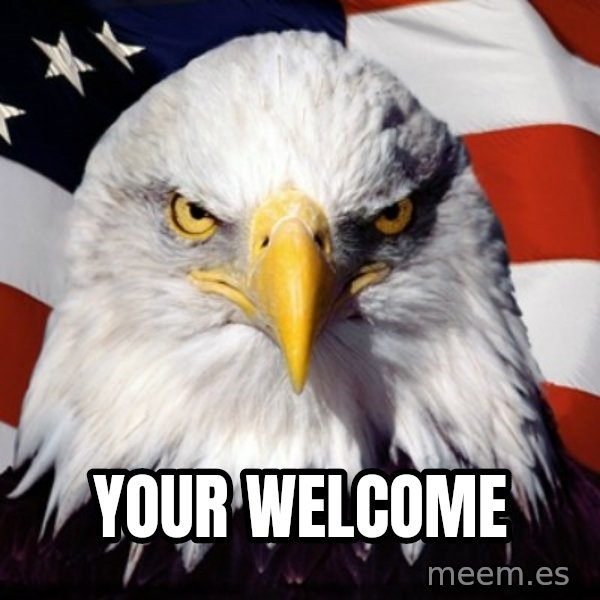 Freedom Eagle  meme: Your welcome