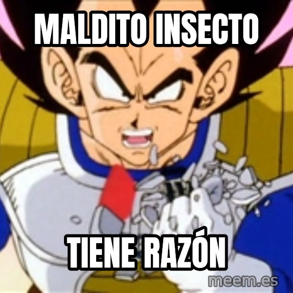 Over 9000 meme: Maldito insecto / tiene razón
