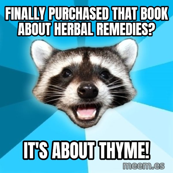 Lame Pun Coon meme: Finally purchased that book about herbal remedies? / It's about thyme!