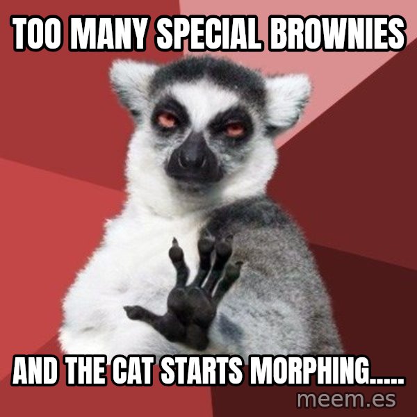 Chill Out Lemur meme: Too many special brownies / And the cat starts morphing.....