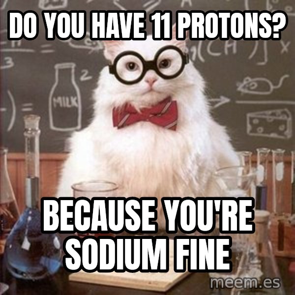 Chemistry Cat meme: Do you have 11 protons? / Because you're sodium fine