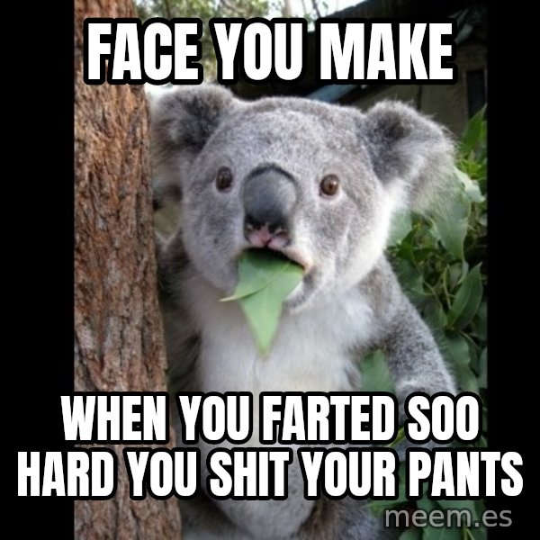 Koala can't believe it meme: face you make / when you farted soo hard you shit your pants