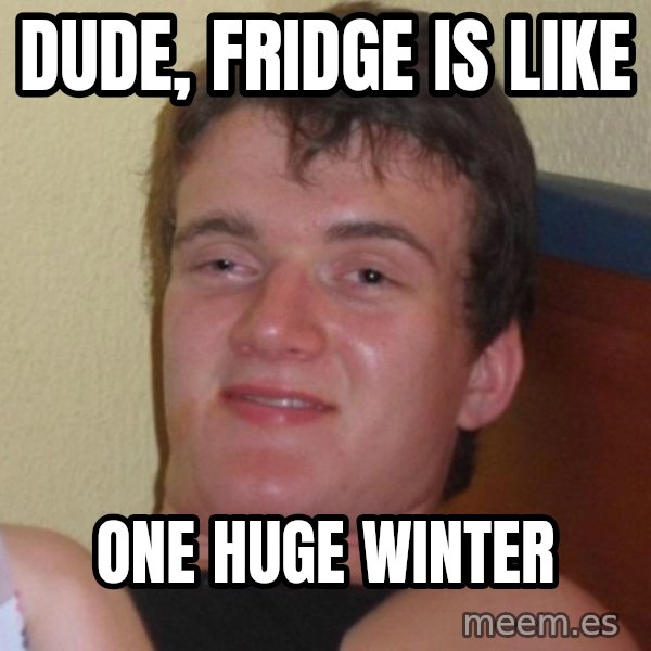 high/drunk guy meme: Dude, Fridge is like / one huge winter