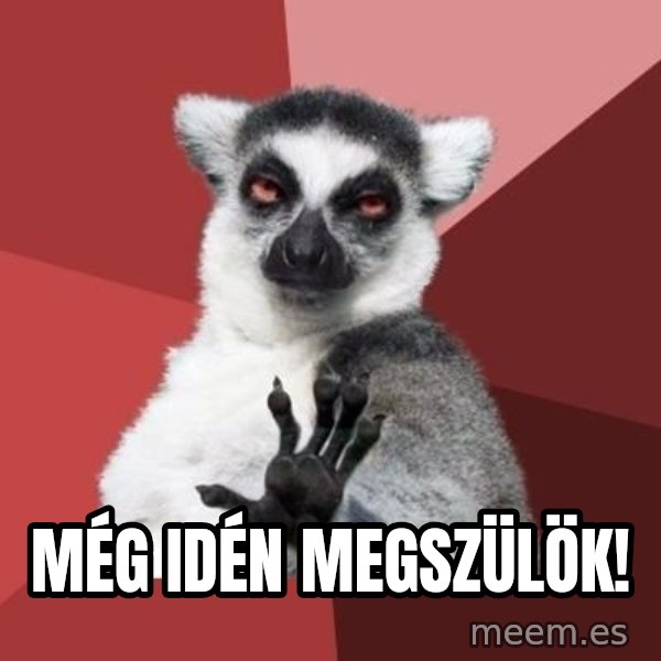 mindenki nyugodjon le a picsába meme: még idén megszülök!