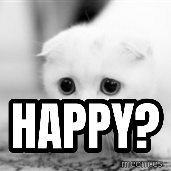 Sadcat meme: Happy?
