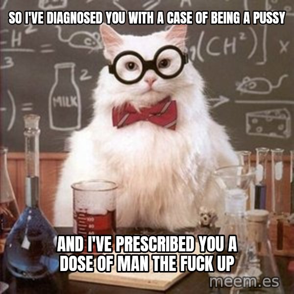 Chemistry Cat meme: So I've diagnosed you with a case of being a pussy / And I've prescribed you a dose of man the fuck up