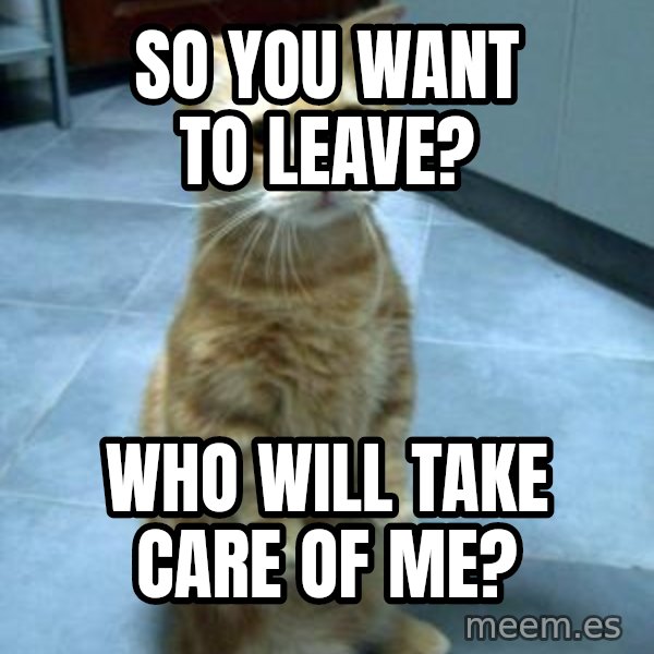 Sadcat meme: So you want to leave? / Who will take care of me?