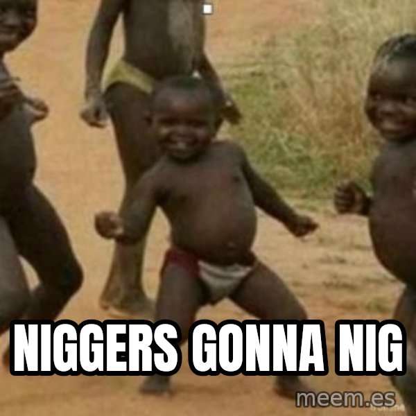 Black Kid meme: Niggers gonna nig