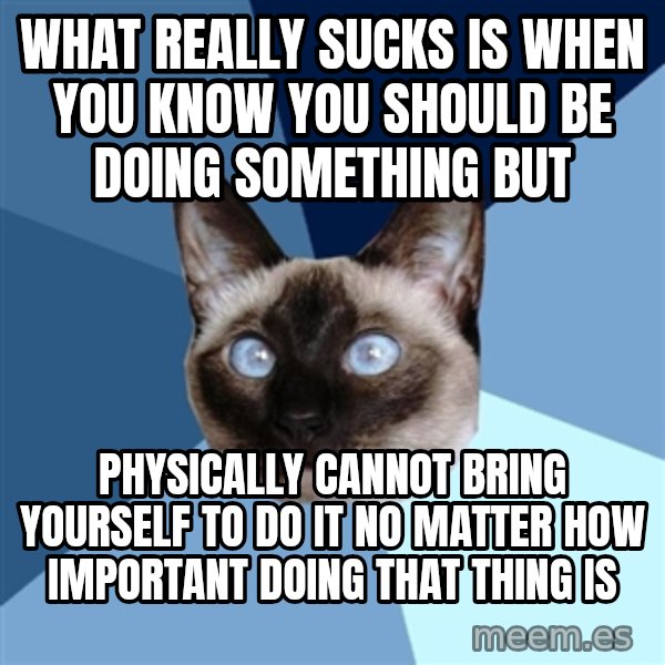 Chronic Illness Cat meme: what really sucks is when you know you should be doing something but / physically cannot bring yourself to do it no matter how important doing that thing is