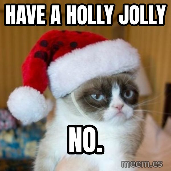 Grumpy Cat Santa Hat meme: HAVE A HOLLY JOLLY / NO.