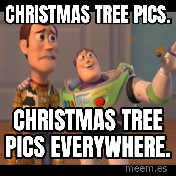 X, X Everywhere  meme: Christmas tree pics. / Christmas tree pics everywhere.