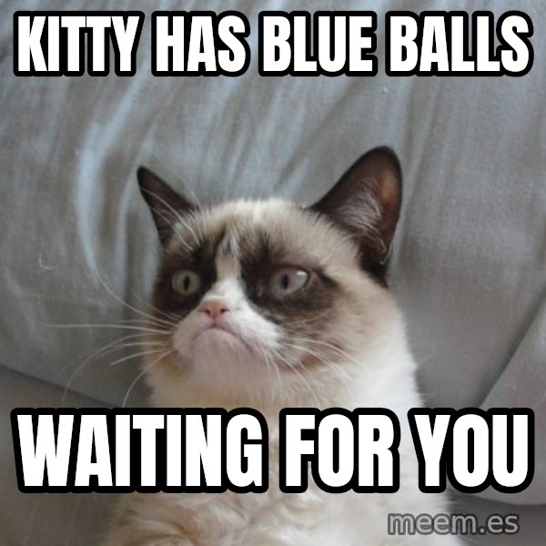 Grumpy cat good meme: Kitty has blue balls / waiting for you