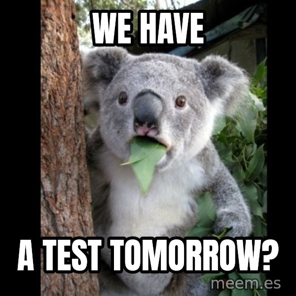 Koala can't believe it meme: We have / A test tomorrow?