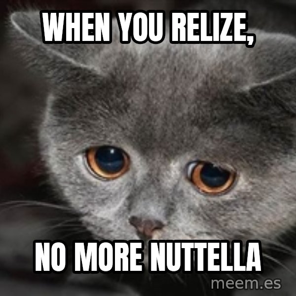 Sadcat meme: when you relize, / no more nuttella