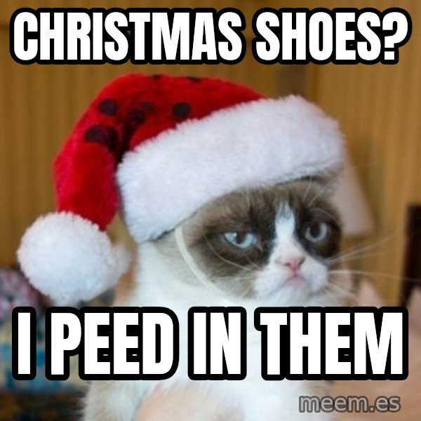 Grumpy Cat Santa Hat meme: Christmas Shoes? / I peed in them