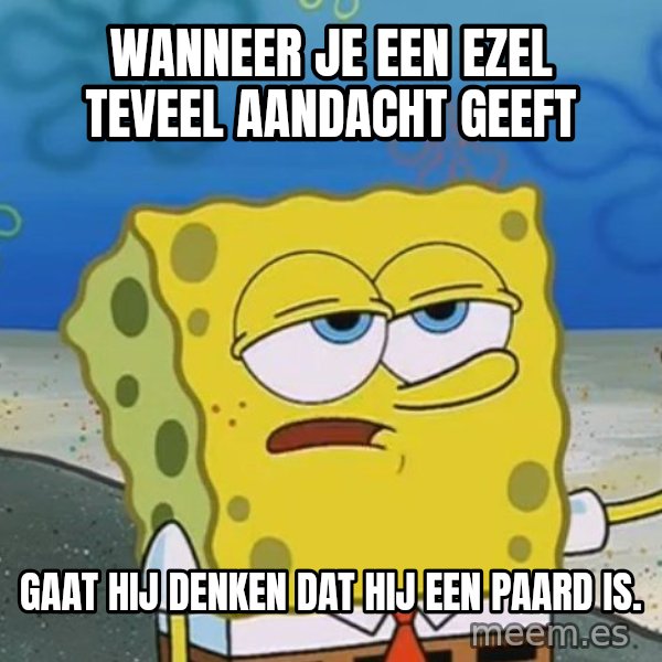 I'll have you know Spongebob meme: Wanneer je een ezel teveel aandacht geeft / gaat hij denken dat hij een paard is.