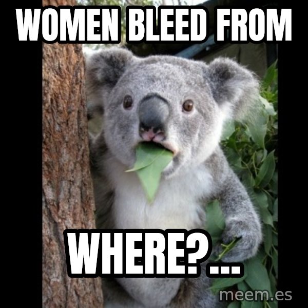 Koala can't believe it meme: women bleed from / where?...