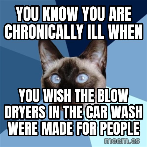 Chronic Illness Cat meme: You know you are chronically ill when / you wish the blow dryers in the car wash were made for people