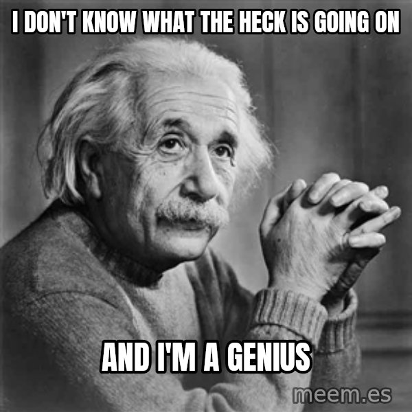Albert Einstein meme: i don't know what the heck is going on / and i'm a genius
