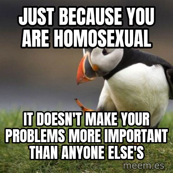 Unpopular Opinion Puffin meme: Just because you are homosexual / It doesn't make your problems more important than anyone else's