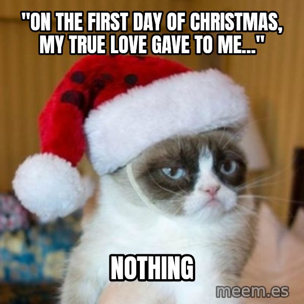 Grumpy Cat Santa Hat meme: "on the first day of christmas, my true love gave to me..." / nothing
