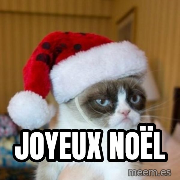Grumpy Cat Santa Hat meme: Joyeux Noël