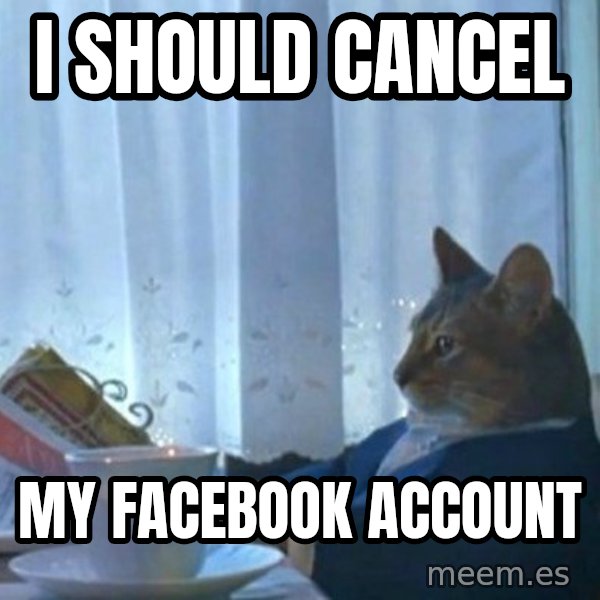 newspaper cat realization meme: I should cancel / My Facebook account