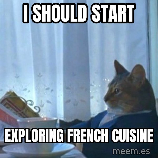 newspaper cat realization meme: I SHOULD START / EXPLORING FRENCH CUISINE