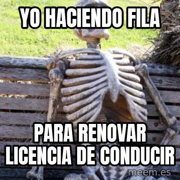 Waiting Skeleton meme: Yo haciendo fila / para renovar licencia de conducir