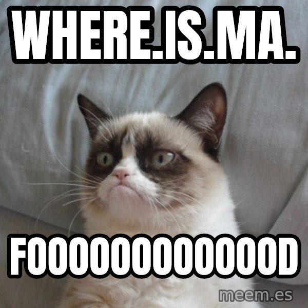 Grumpy cat good meme: WHERE.IS.MA. / FOOOOOOOOOOOOD