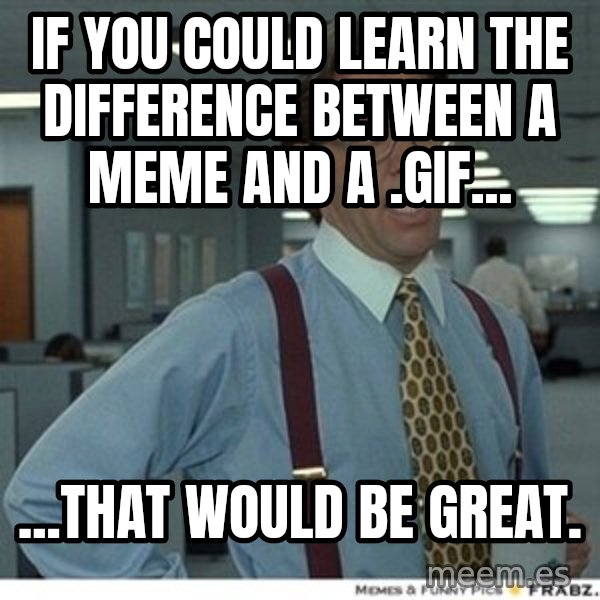 That would be great meme: If you could learn the difference between a meme and a .gif... / ...that would be great.