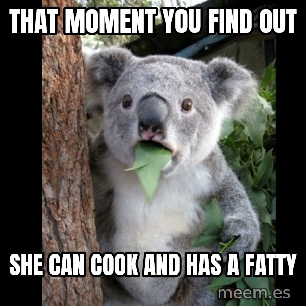 Koala can't believe it meme: That moment you find out / She can cook and has a fatty