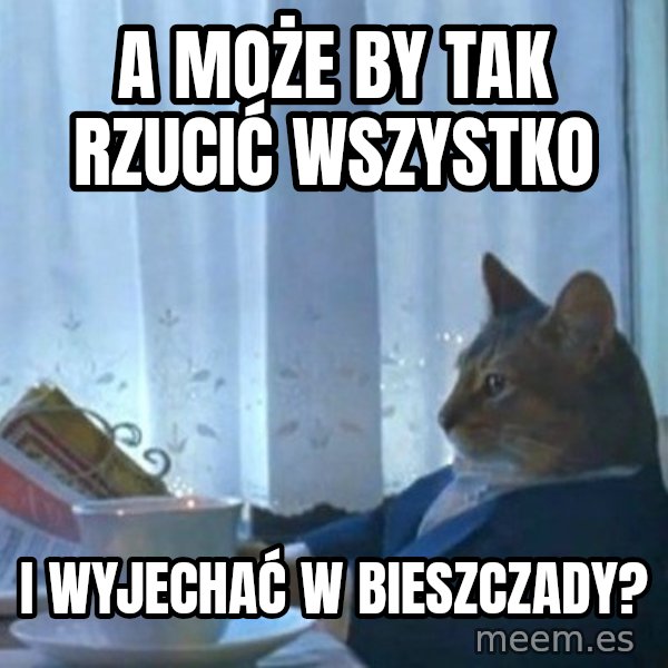 newspaper cat realization meme: A może by tak rzucić wszystko / i wyjechać w Bieszczady?