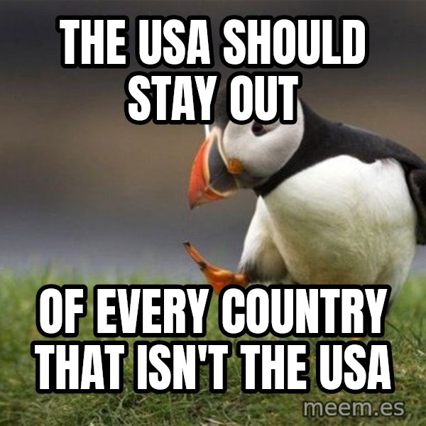 Unpopular Opinion Puffin meme: The USa should stay out / of every country that isn't the USa