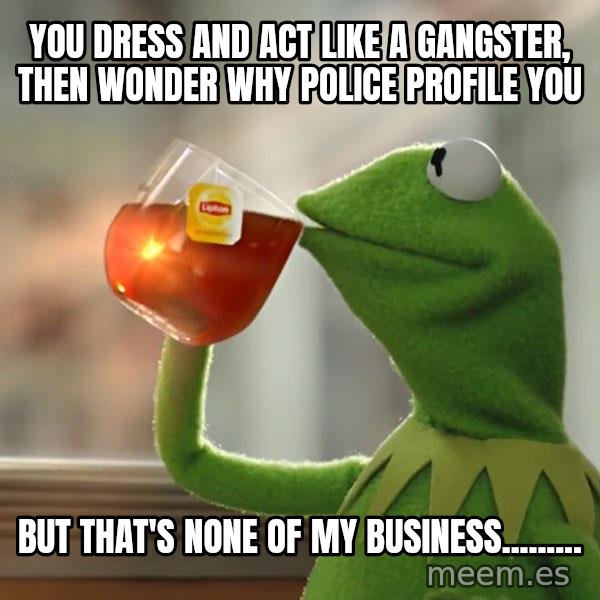 Kermit The Frog Drinking Tea meme: You dress and act like a gangster, then wonder why police profile you / but that's none of my business.........