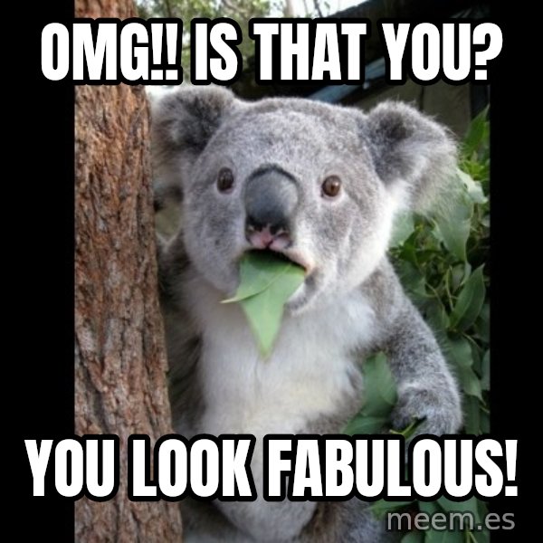 Koala can't believe it meme: OMG!! Is that you? / You Look Fabulous!