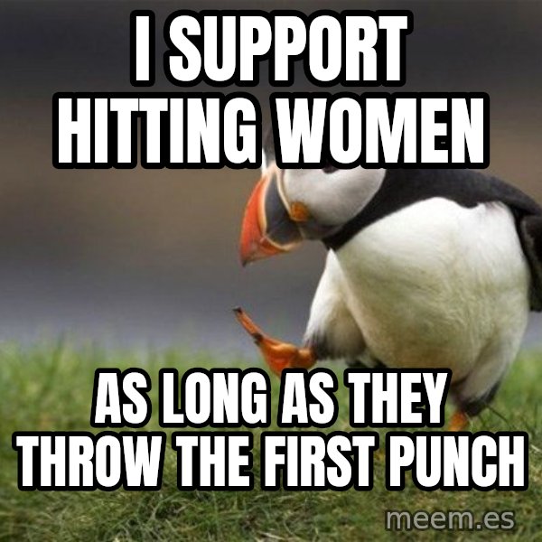 Unpopular Opinion Puffin meme: I support hitting women / as long as they throw the first punch